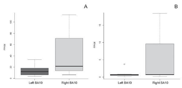 Figure 2. Examples of the relative increase in gene expression in left BA10 compared to right BA10: A – asymmetrical C-FOSexpression in BA10; B – asymmetricalNPAS4 expression in BA10. Dolina I.A., Efimova O.I..., Velichkovsky B.M. (2017). Psychology in Russia: State of the Art, 10 (3), 231-247. 