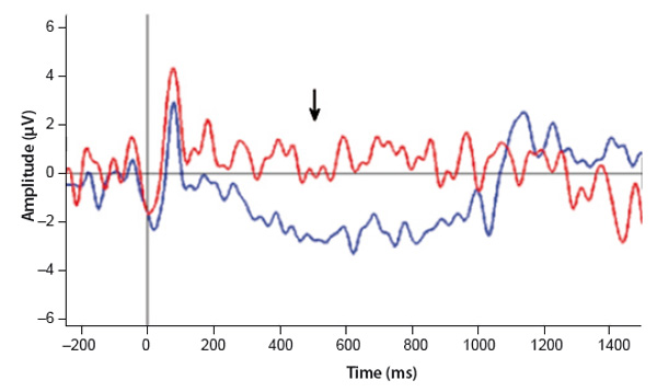 Figure 3. Fixation-related brain potentials (POz, grand average, n = 8) for gaze dwells intentionally used to trigger actions are shown by the blue line and for spontaneous fixations by the red line. 0 corresponds to dwell start; visual feedback was presented at 500 ms, corresponding to the arrow position (after Shishkin et al., 2016; Velichkovsky et al., 2016). . Shishkin S. L., Zhao D. G., Isachenko A. V., Velichkovsky B. M.(2017). Psychology in Russia: State of the Art, 10 (3), 120-137. 