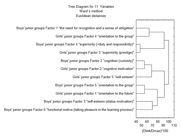 Figure 4. Gender features of motivation in the junior groups. Result of cluster analysis. Vartanova I.I. (2018) Psychology in Russia: State of the Art, 11 (3), 209-224