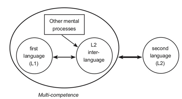 Figure 1. Model of Multi-competence (Cook, 1991)