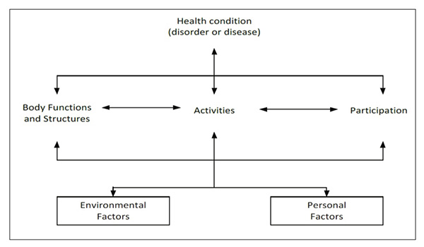  Figure 1. Interactions between the components of the ICF (International Classification of Functioning, Disability and Health, 2001).