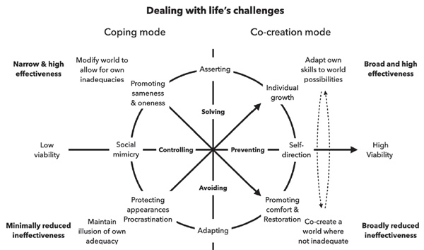 Figure 3. Dealing with life’s challenges. Four attitudes toward problems and challenges (on the main axes), coupled with broad strategies (on the circle), effects on the world, and behavioral (in)effectiveness. Denham, F.C., Andringa, T.C. (2021). Psychology in Russia: State of the Art, 14(3), 217-243.
