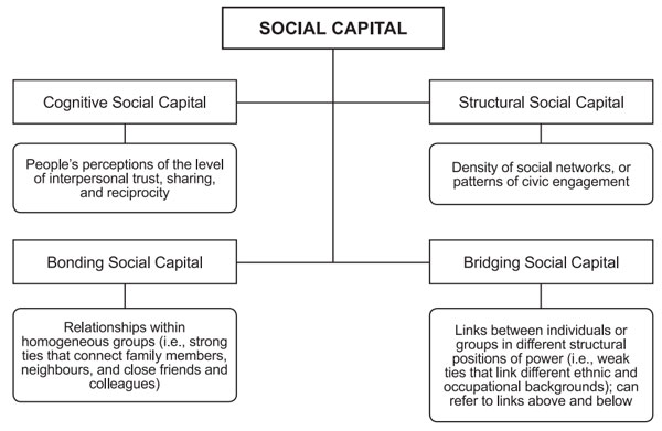 Figure 2. Conceptual schema of Social Capital (Murayama et al., 2012, p.180). Raevskaya, A.A., Tatarko, A.N. (2022). The Association Between Family Social Capital and Female Entrepreneurship. Psychology in Russia: State of the Art, 15(3), 3–20. DOI: 10.11621/pir.2022.0301