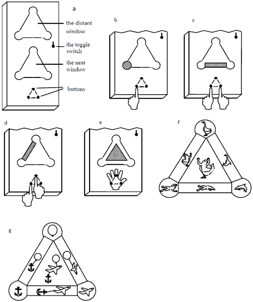 Figure 4. The “Triangle” Device stimulating children to perform complete combinatorial search for 4 control variables