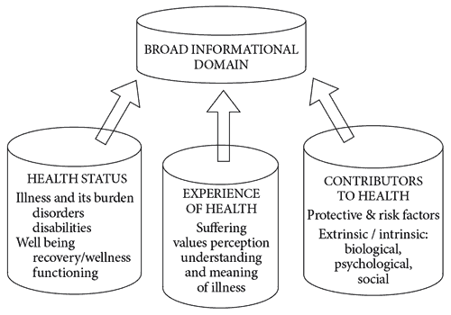 Figure 2. Broad informational domain.