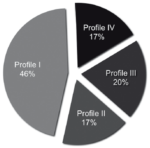 The distribution of the four latent profiles in the sample