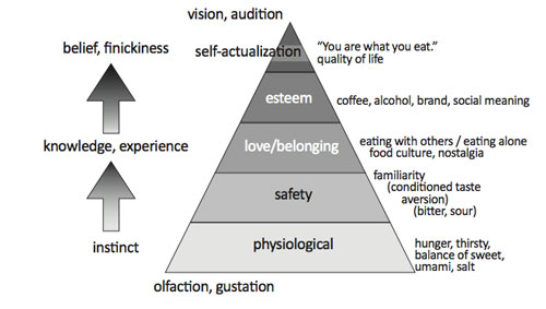 A model of human motivation for eating and for the palatability of foods and beverages. I have based this model on Maslow’s hierarchy of needs. 