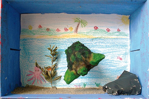 Diorama about the turtle built by Anita, 13 years old.