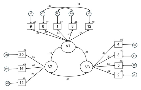 Figure 2. Confirmatory Factor Analysis (CFA) of the Coping Scale for Adherence to Cardiovascular Physical Exercise model