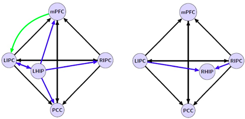 Winning models of
effective connectivity patterns for left and right hippocampal formation on the
left and the right side of the figure