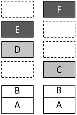 rand Design model with the presumed asymmetry
of multievel mechanisms in left and right hemispheres